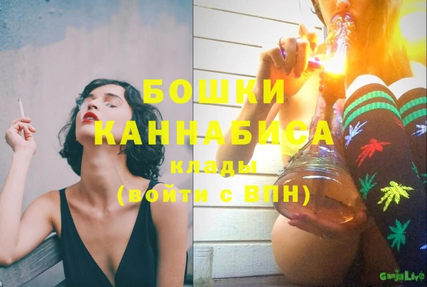 хмурый Нея