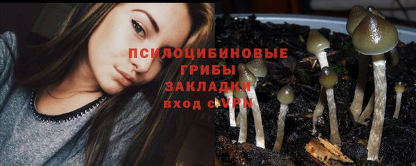 амф Абдулино