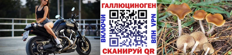 Псилоцибиновые грибы мицелий  это формула  Ростов-на-Дону 